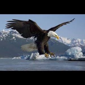 Meet your Posher, Extendo